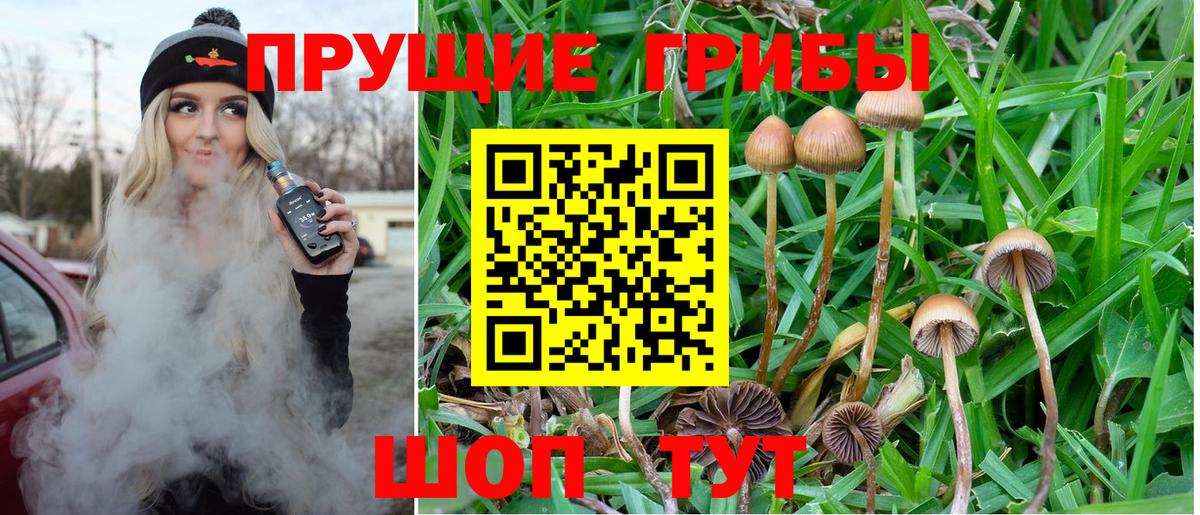 Галлюциногенные грибы Cubensis  купить  цена  Омск  Вход с VPN 